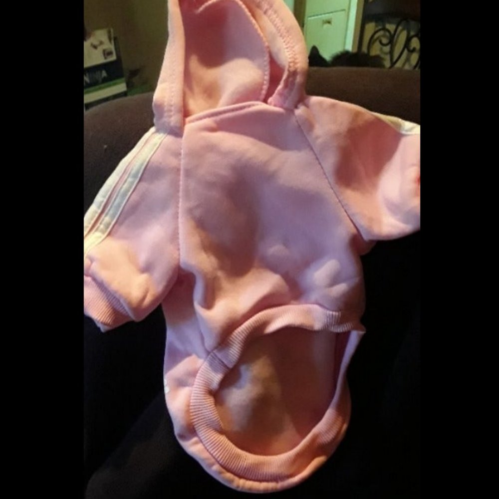 AdiDog Dog Sweatshirt - Picture 2 of 3